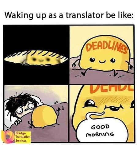 Waking up as a translator be like