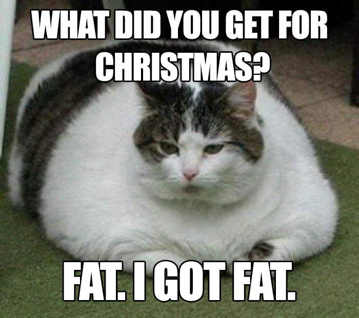What did you get for Christmas? Fat. I got fat.
