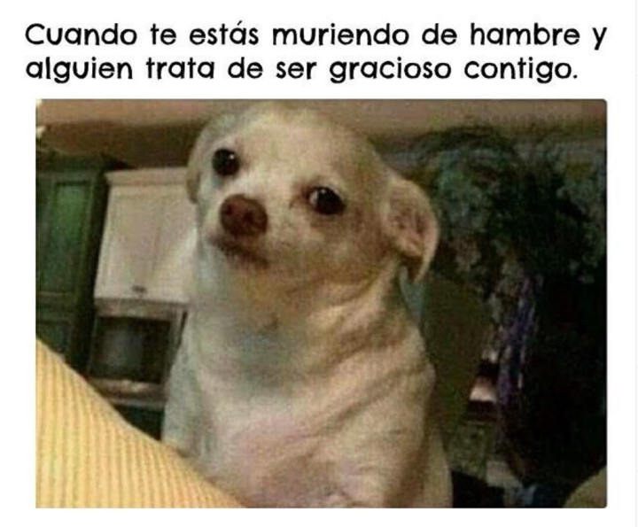 Cuando te estás muriendo de hambre