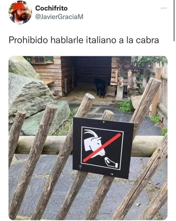 Prohibido hablarle italiano a la cabra