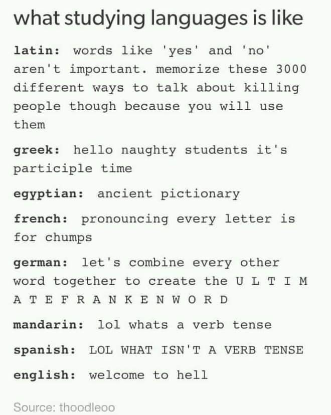 What studying languages is like