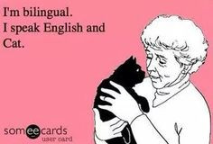 I speak English and cat.