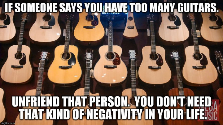 If someone says you have too many guitars, unfriend them