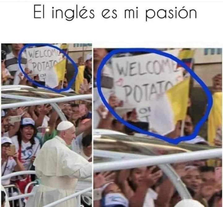 Bienvenido papa / Welcome potato
